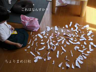 ちょりまめ日和