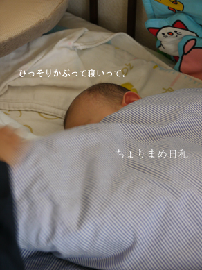 ちょりまめ日和