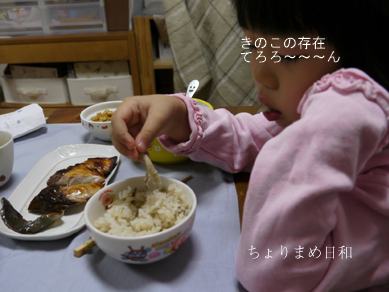 ちょりまめ日和