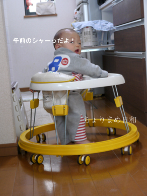 ちょりまめ日和