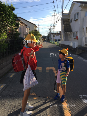 いくじ170929