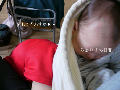 ちょりまめ日和