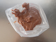 チョコマカロン220128P6