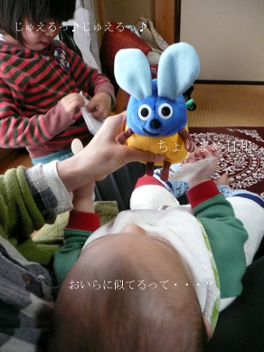 ちょりまめ日和