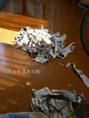 ちょりまめ日和