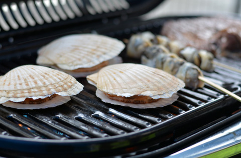 BBQ160820-2