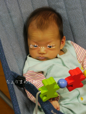 ちょりまめ日和