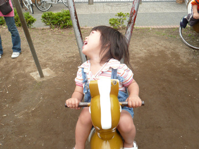 ちょりまめ日和