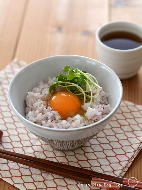 卵かけしそ梅ごはん_スパイス1904