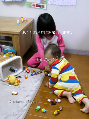 ちょりまめ日和