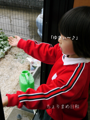 ちょりまめ日和