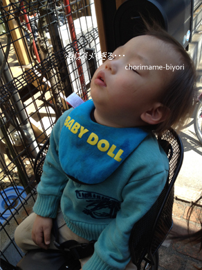 ちょりママオフィシャルブログ「ちょりまめ日和」Powered by Ameba