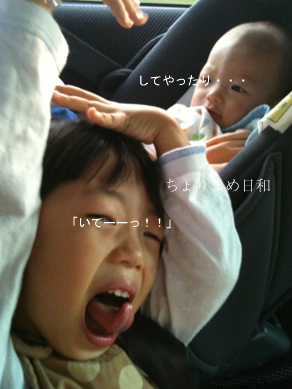 ちょりまめ日和