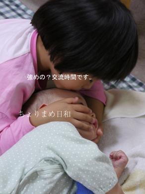 ちょりまめ日和