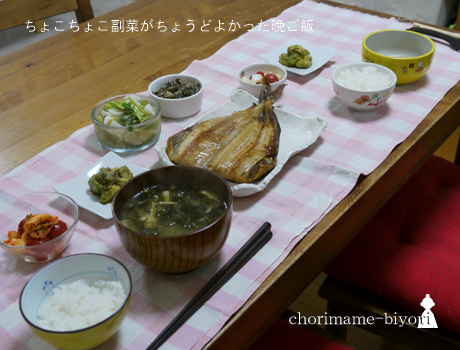 ちょりまめ日和