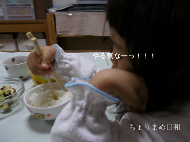 ちょりまめ日和