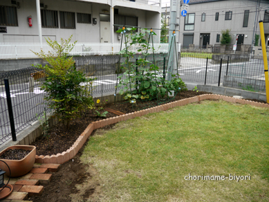 ちょりママオフィシャルブログ「ちょりまめ日和」Powered by Ameba