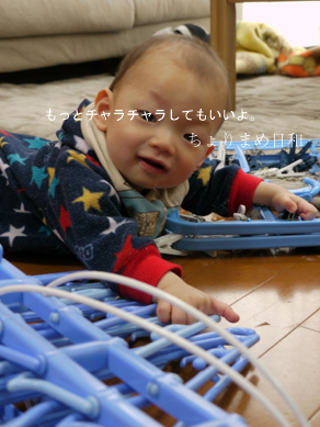 ちょりまめ日和