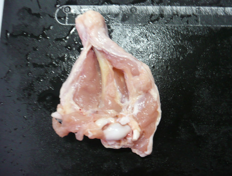 ちょりまめ日和