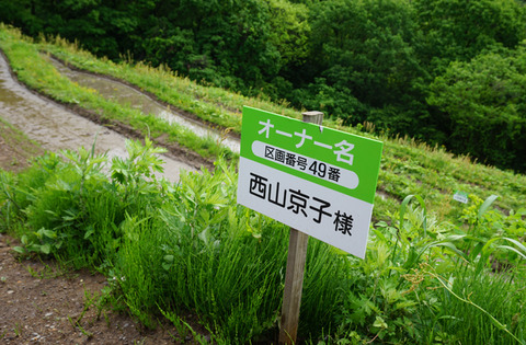 佐渡田植え20180520