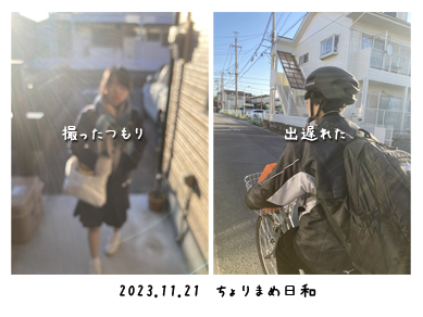 いくじ231121