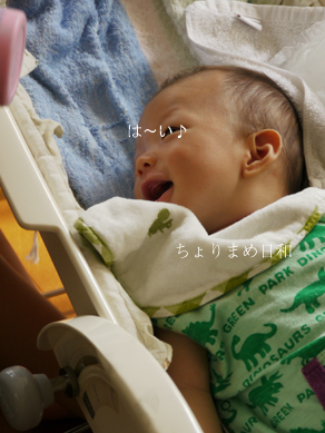 ちょりまめ日和