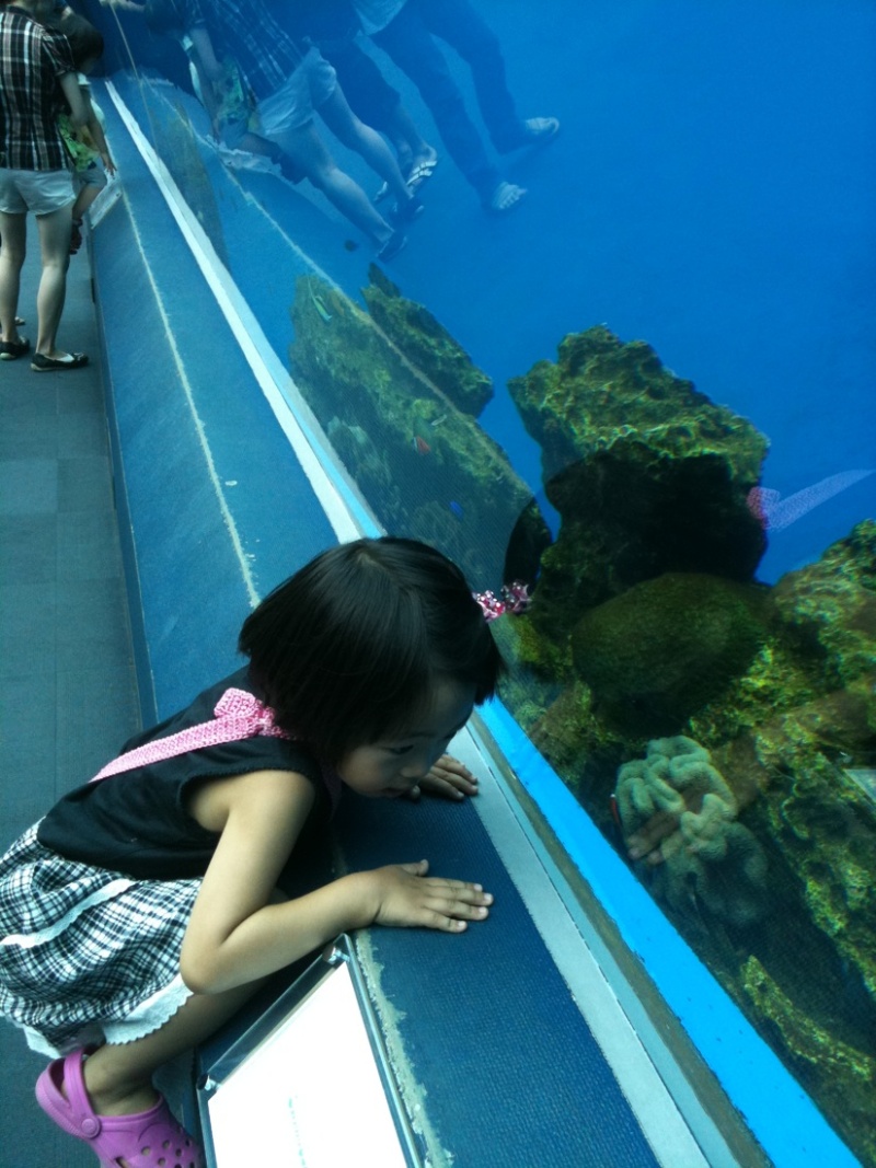 photo:04