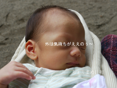ちょりまめ日和