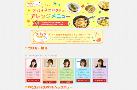 ねりスパイス2019-2