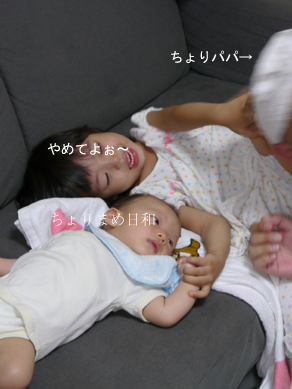 ちょりまめ日和