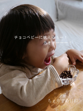 ちょりまめ日和