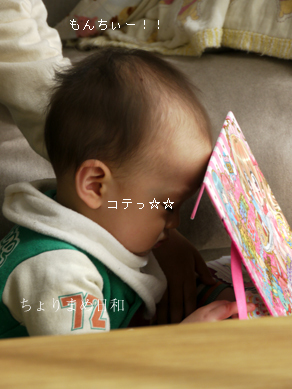 ちょりまめ日和