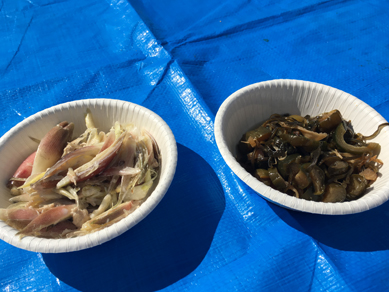 佐渡2017-1008_棚交流会4