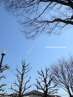 ちょりママオフィシャルブログ「ちょりまめ日和」Powered by Ameba