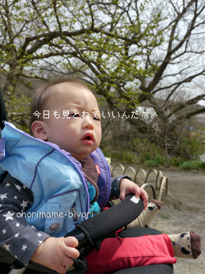 ちょりまめ日和