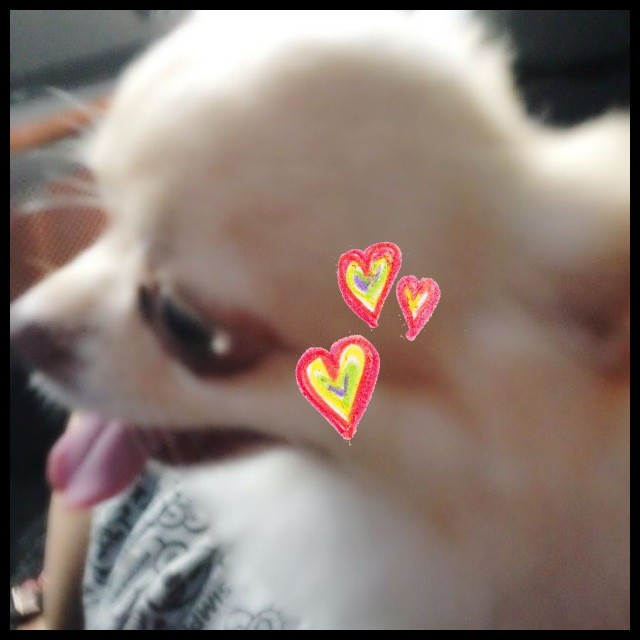 03 - 2