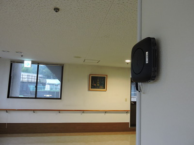 DSCN4290