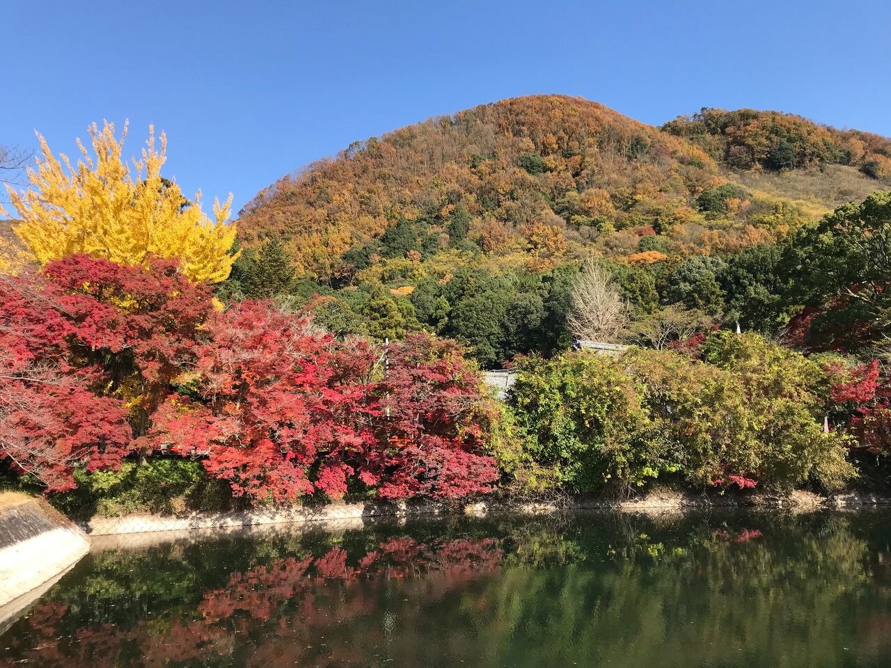 秋の景色 長生園 近況報告