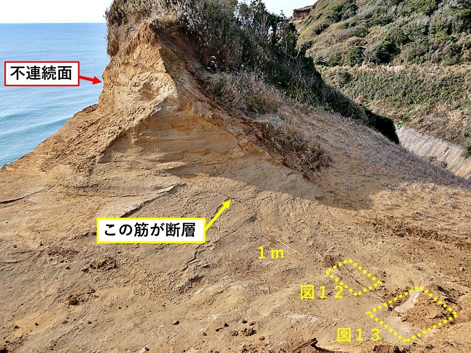 【銚子ジオ散歩】Choshi GeoWalk : 銚子ジオ散歩(339)鞍部状凹地の観察②断層