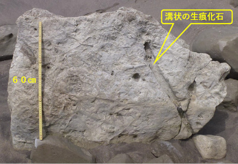 銚子ジオ散歩158図④