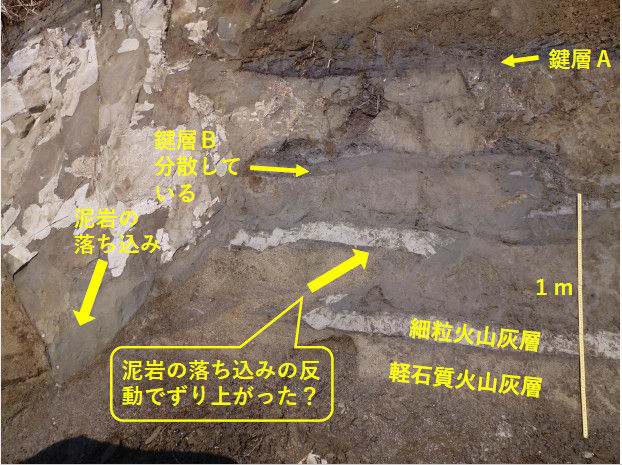 【銚子ジオ散歩】Choshi GeoWalk                choshi_geopark2