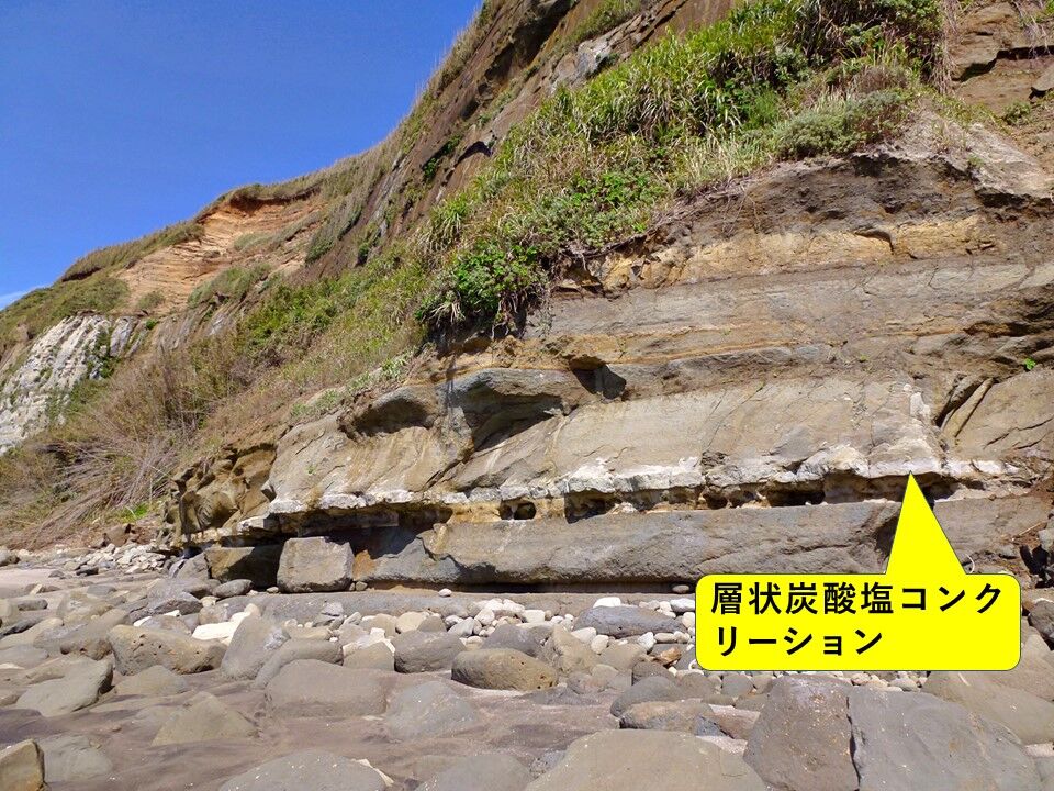 【銚子ジオ散歩】Choshi GeoWalk                choshi_geopark2