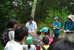 B_君ヶ浜林縁_糟谷10Ed2