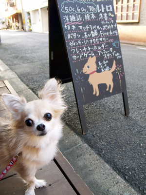 看板犬