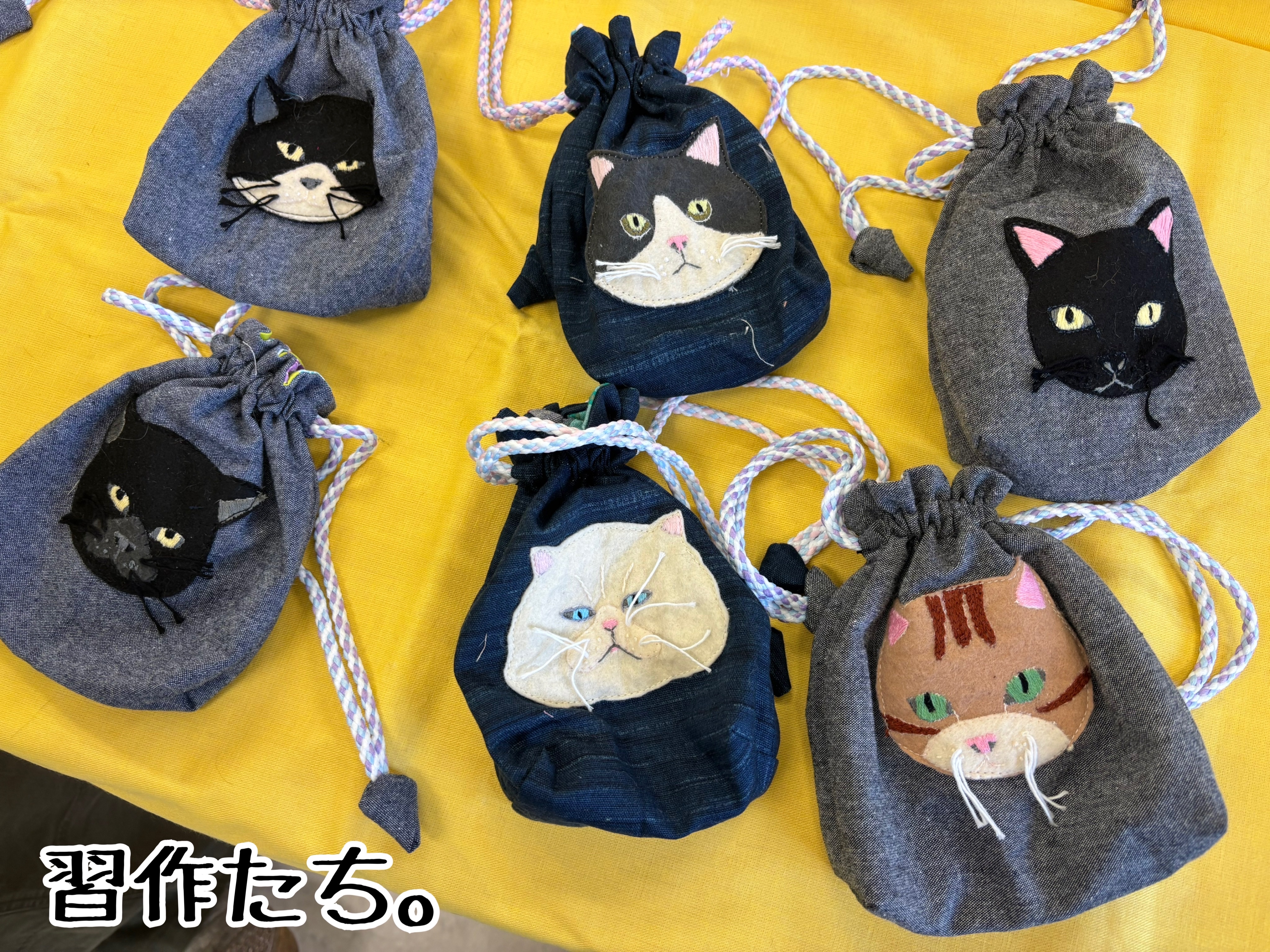 昨日は秘密結社ねこのひげ譲渡会♪ : 猫とお酒と日々のこと Powered by