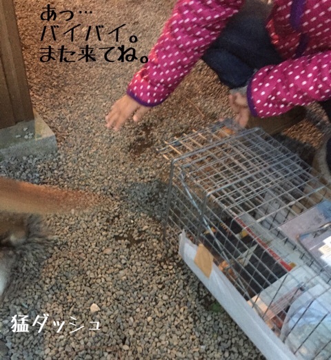 {0AC0A531-82EC-43A2-A011-0A28A9F4C362:01}
