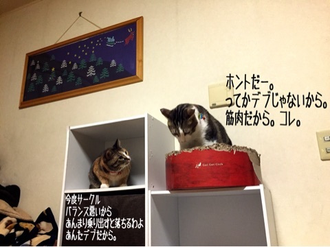 {3252302C-6496-48CF-A132-443B97F2664D:01}