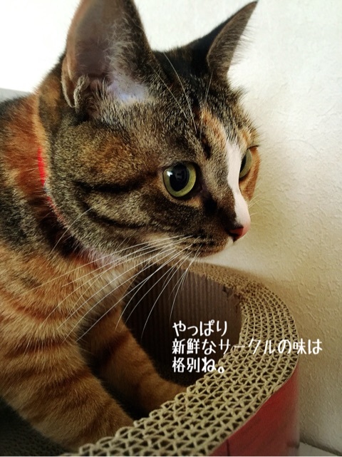 {F15D2C08-275E-4C91-B31A-D69512E51163:01}