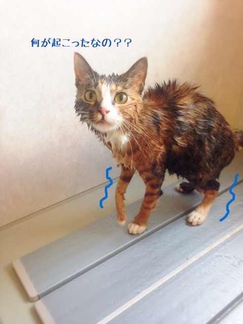 {97F237AC-CBBC-4A0C-8E57-D725E9D57CD0:01}