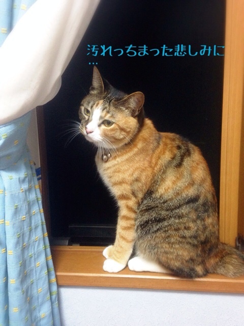 {28105DA5-D030-4C7B-9C7D-20070BF1F034:01}